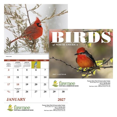 Good Value™ Birds of North America - Spiral Calendar